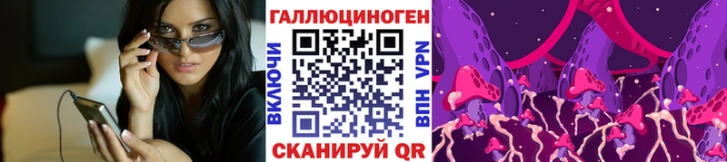 Псилоцибиновые грибы GOLDEN TEACHER  купить   Стародуб 
